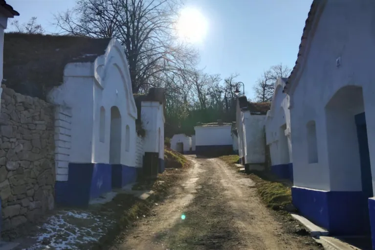 Bojkovice, degustace vín v Petrově