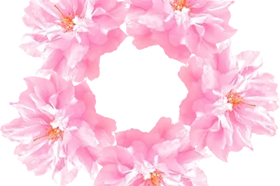 Smyslů zbavení / Divadelní Luhačovice