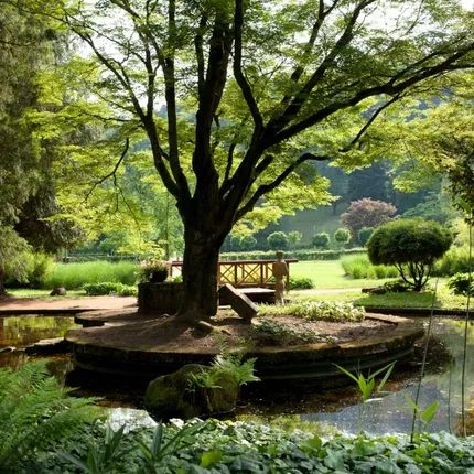 japonská zahrada jako součást lázeňského parku japonská zahrada jako součást lázeňského parku