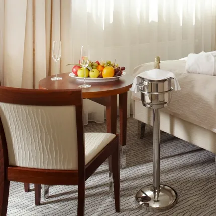 pokoj v hotelu Alexandria pokoj v hotelu Alexandria