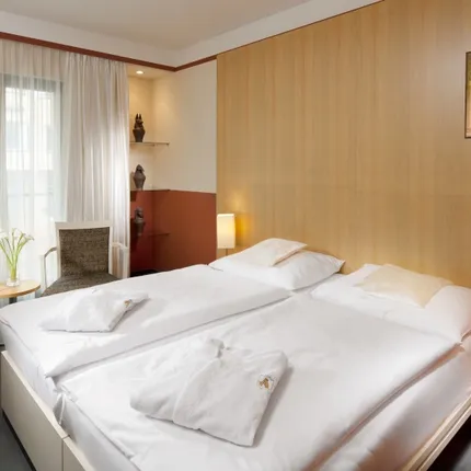 dvoulůžkový pokoj v nové budově hotelu Alexandria dvoulůžkový pokoj v nové budově hotelu Alexandria