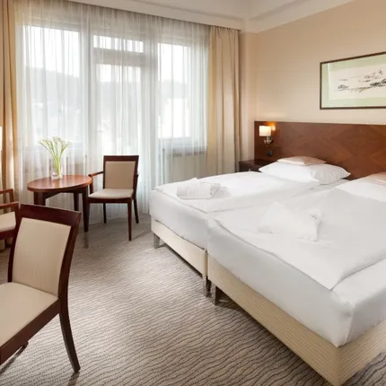 dvoulůžkový pokoj v nové budově hotelu Alexandria dvoulůžkový pokoj v nové budově hotelu Alexandria