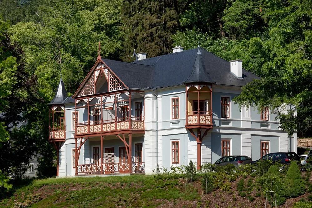 Alpská růže Alpská růže