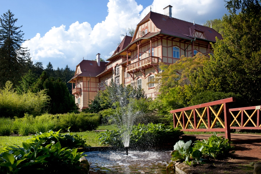 rašelinový obklad zad