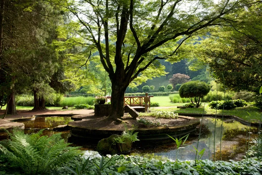 park v okolí hotelu