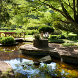 Japonská zahrada v lázeňském areálu